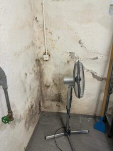 Schrennengasse-9-Zuerich-vorher-225×300